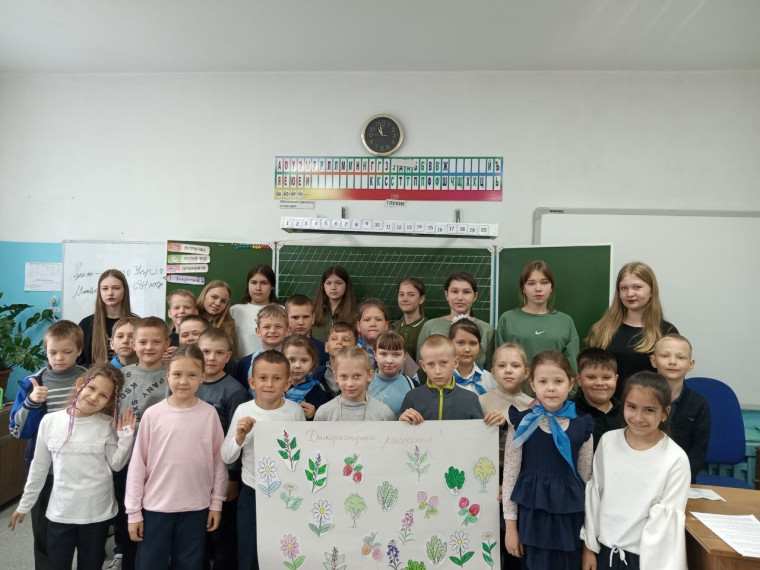 Урок о дикорастущих растениях в годы войны.
